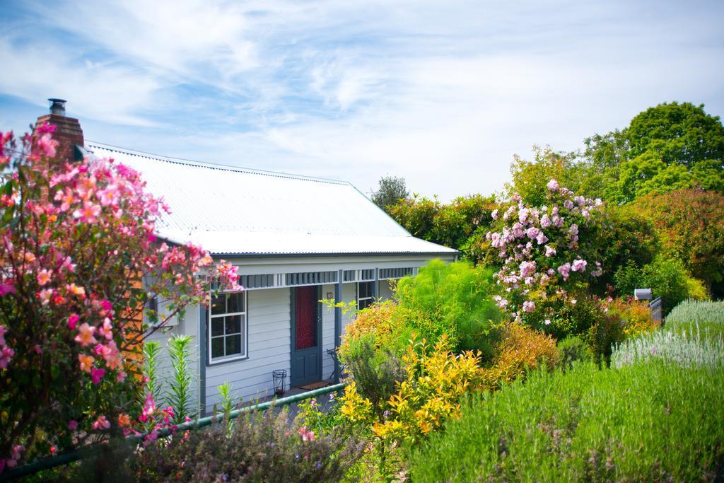 Fortuna Cottage 데일스포드 외부 사진